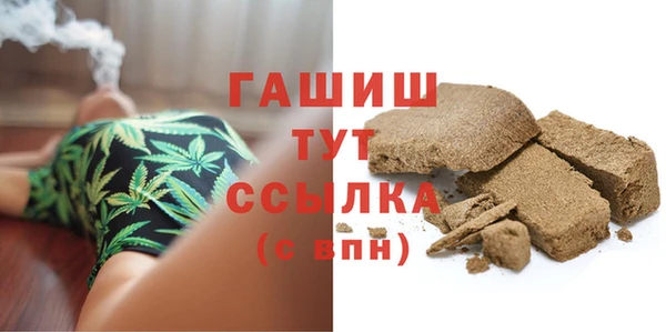 ECSTASY Бородино